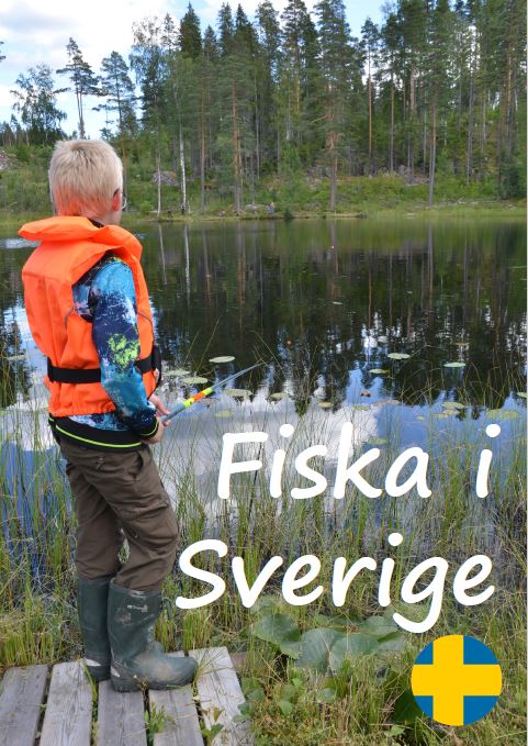 Klicka på bilden för att läsa broschyren på svenska.
