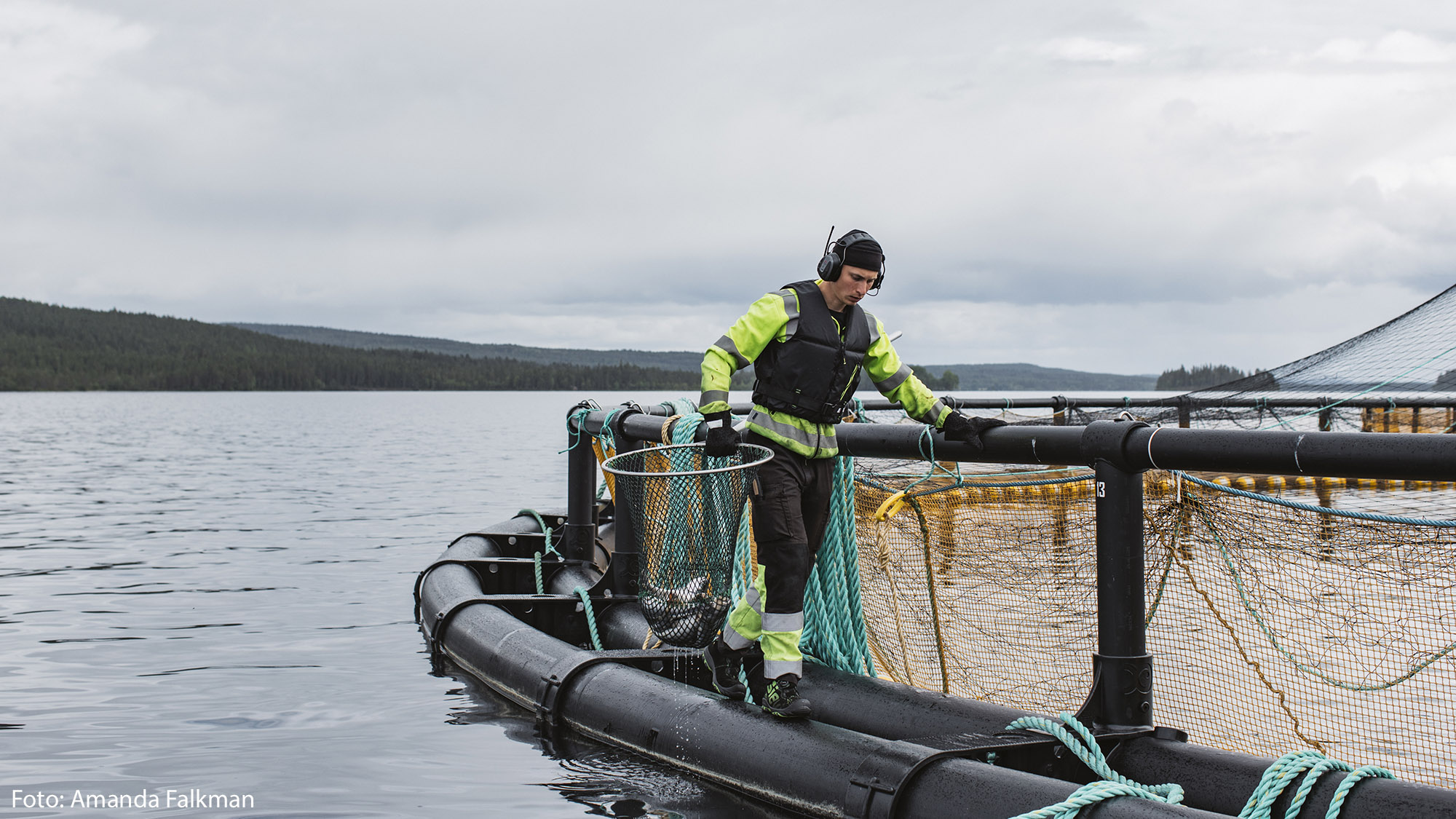Person i skyddskläder och flytväst arbetar på en flytande fiskodling i en sjö