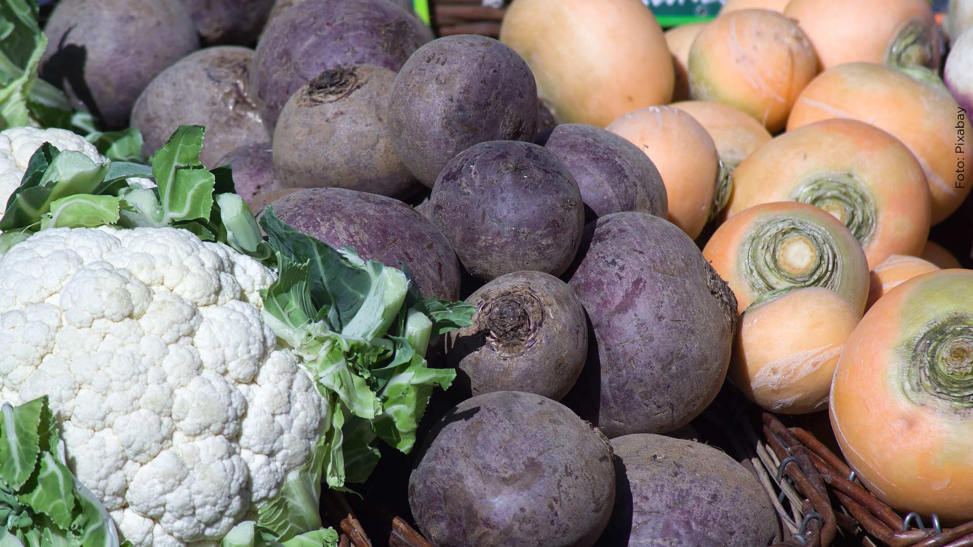 Blomkål, rödbetor och kålrot