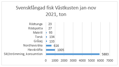 Diagram över svenskfångad fisk vid västkusten januari-november 2021.