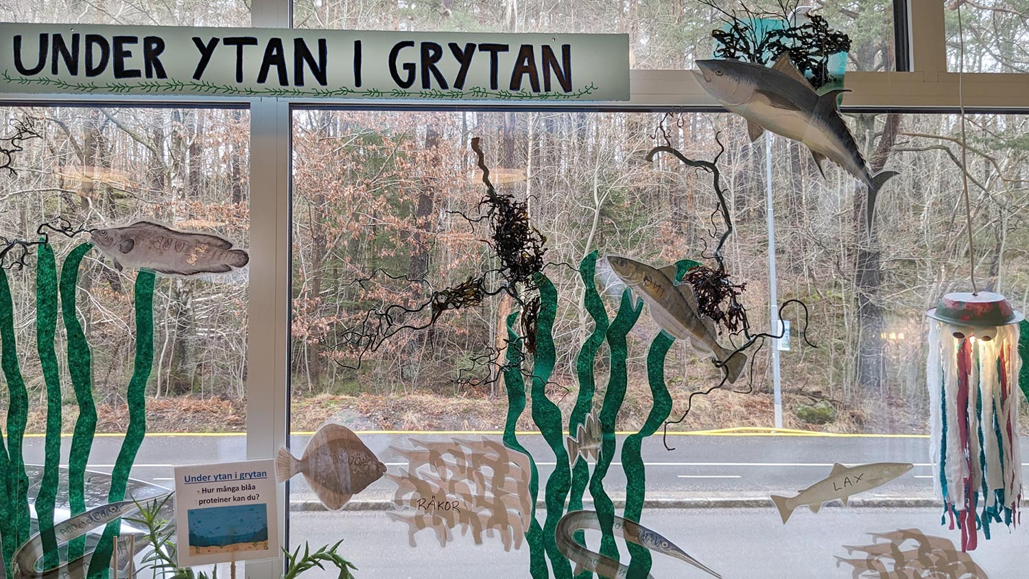 Dekoration i ett fönster med undervattenstema. Färgglada fiskar och sjögräs. Skylt "Under ytan i grytan".