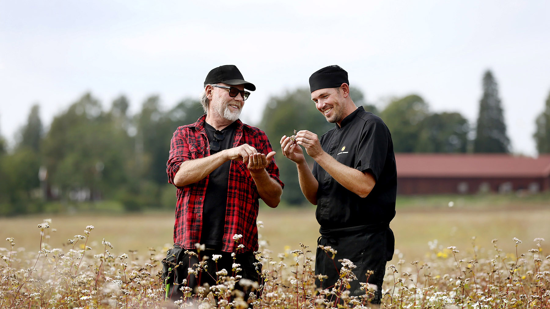Två personer står i ett fält med baljväxter, de tittar på ett strå.