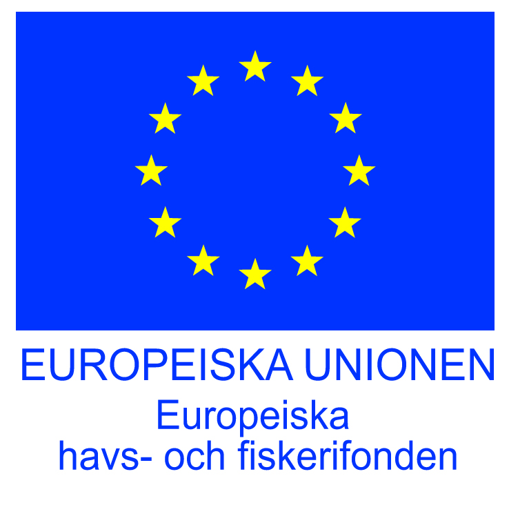 EU-flagga - Havs- och fiskerifonden.