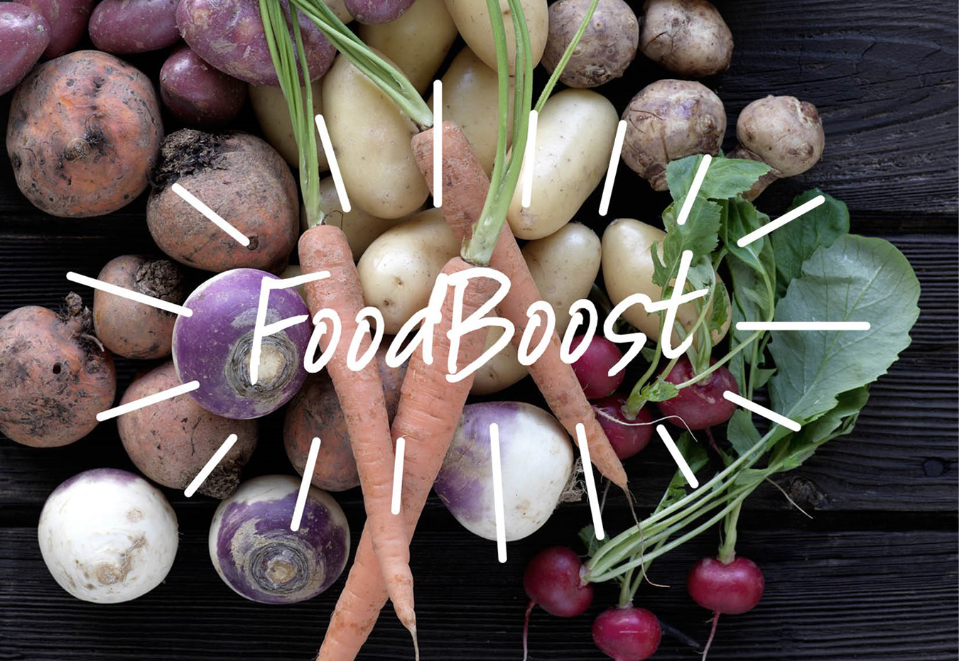 Morötter, rotsaker och grönsaker på bild, med ordet FoodBoost skrivet framför.