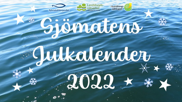 Bild på vattenyta med texten "Sjömatens Julkalender 2022" ovanpå.