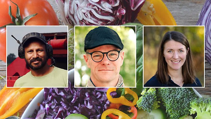 Tre porträttfoton inlagda mot bakgrund av färgglada grönsaker.