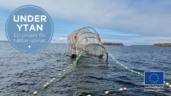 Fälla för braxenfiske.