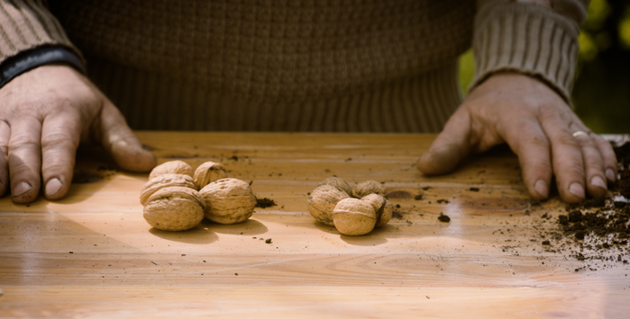 Händer med nötter