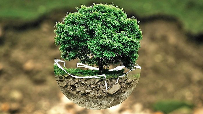 Ett bildmontage, ett träd med rötter i jorden i en äggskalsformad glaskupa