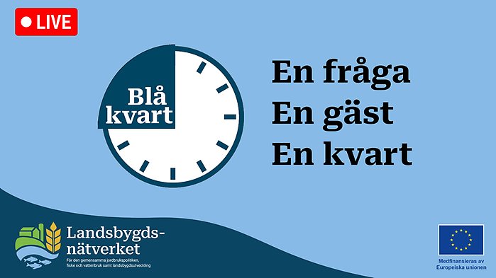 Grafik med logga för Blå kvart.