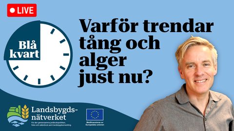 Blå kvart: Varför trendar tång och alger just nu? - Landsbygdsnätverket