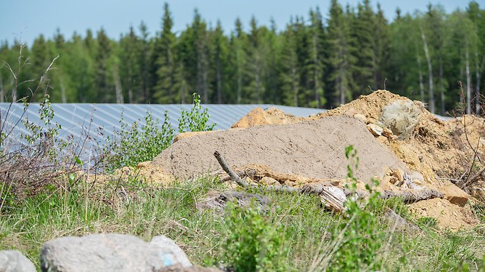 Sandbädd framför solceller