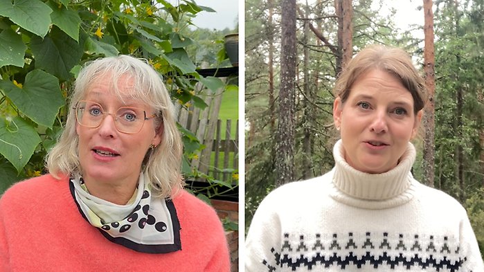 Två porträttbilder, närbilder på projektledarna.