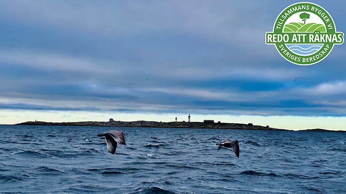 Man som håller fram en lax samt loggan för artikelserien ovanpå.