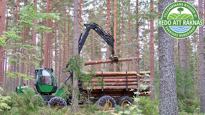 Bild på braxen med loggan för artikelserien ovanpå.