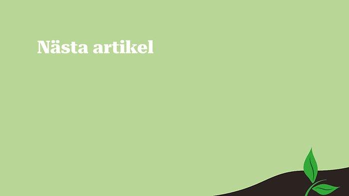 Man som håller fram en lax samt loggan för artikelserien ovanpå.