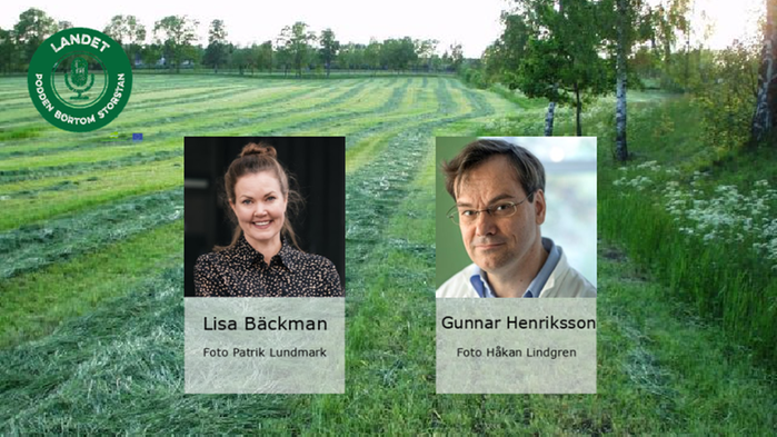 Gunnar Henriksson, professor i träkemi, KTH och Lisa Bäckman, Marketing & Communications Manager, KTH Innovation