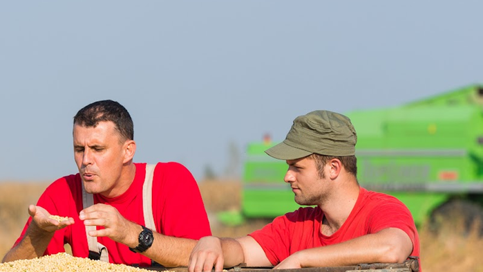 Två lantbrukare står på ett fält och tittar på skörden. I bakgrunden står en grön traktor. 