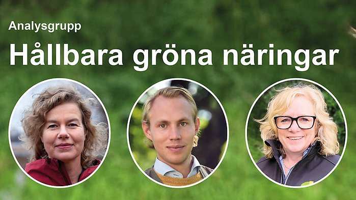 Jenny Jewert, Carl Filip Trolle-Hjälte och Christina Milén Jacobsson