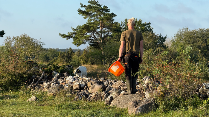 Ung lantbrukare med mathink i kohagen