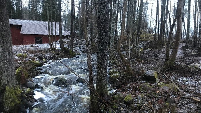 Miljöbild kring Griggebo såg.