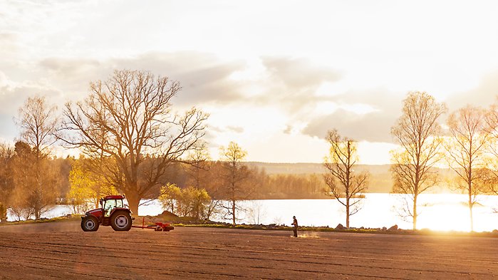 Man som stoppar korv i ett kök.