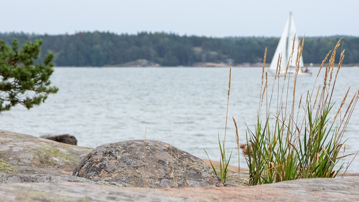 Skärgårdsvy med klippor i förgrunden och segelbåt vid horisonten.
