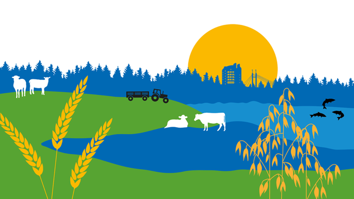 Illustration i grönt, blått och gult med fält, kor, traktor, säd m.m.