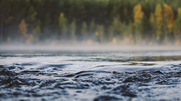 Sjö med träd i bakgrunden.