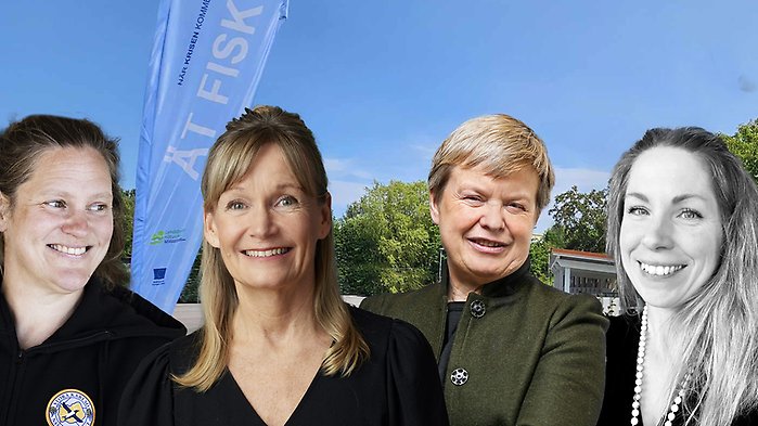 Bildmontage: Liv Mared, Åsa Domeij, Ingrid Undeland och Veronica Andrén. Bakgrund - en musselbank.
