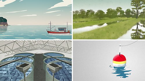 Fyra illustrationer om fiske och vattenbruk.
