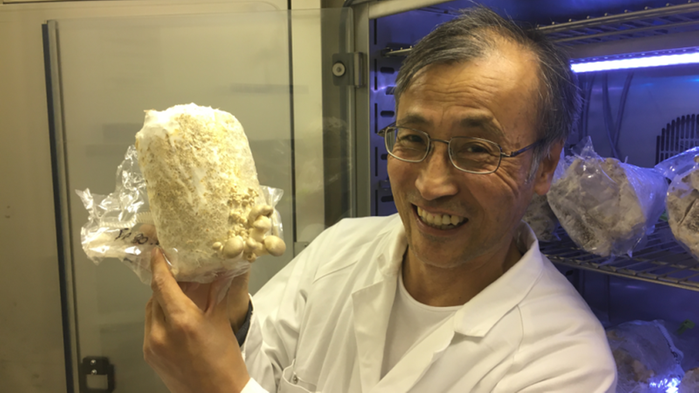 Forskaren Shaujun Xiong i vit labbrock med en av sina svampar