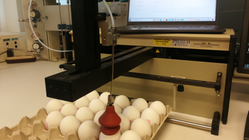 Maskin som kan göra könssortering av ägg