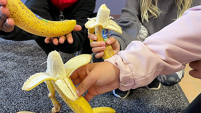 Barn håller i väldigt mogna bananer