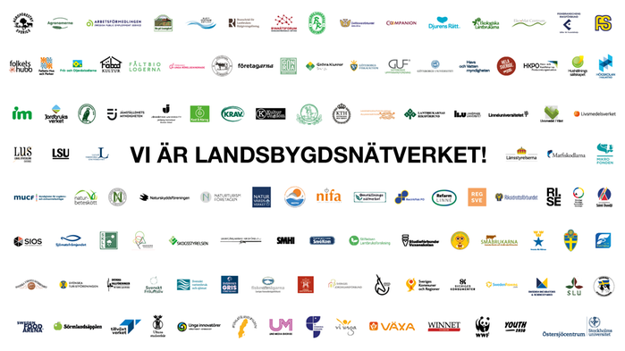 Collage med loggor från alla medlemmar i nätverket.