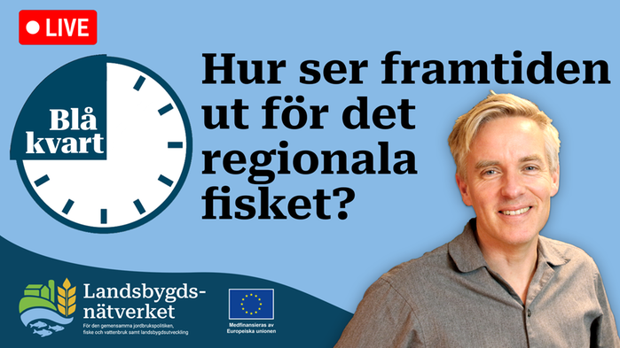 Blå kvart: Hur ser framtiden ut för det regionala fisket?