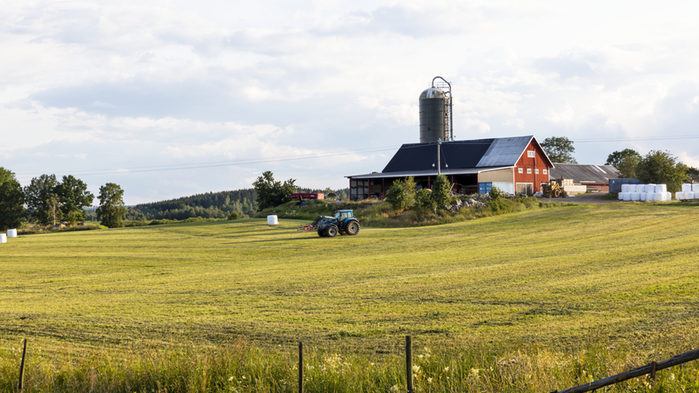Traktor på fält med ladugårdsbyggnader i bakgrunden.