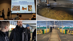 Collage med fyra bilder från vattenbrukskonferensen med studiebesök på landbaserad odling.