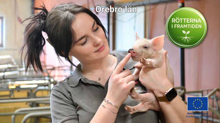 Grete Bergman håller en liten griskulting i famnen