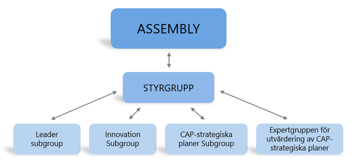 Organisationsschema för EU CAP-nätverket.