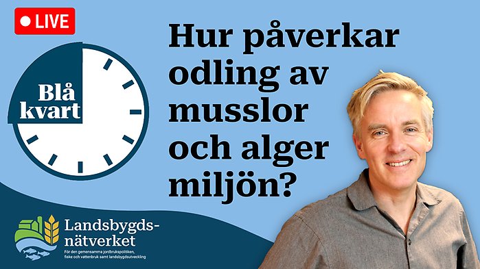 Grafik med logga för Blå kvart, porträttbild på Carl Dahlberg samt ämnet i text.
