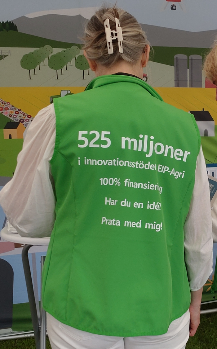 Innovationssupportens gröna västar
